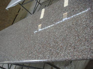 Brown Solid Granite Worktops Kekuatan Tinggi Bahan Baku Granit Alami