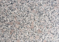 GranitE G383 Bahan Bianco Antico Granite Slab Warna Abu-abu Bunga Mutiara