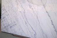 Panel Dinding Marmer Kepadatan Tinggi Untuk Kamar Mandi / Kamar, Lantai Marmer Putih